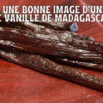 Mon verdict : quel matériel pour photographier la vanille ?