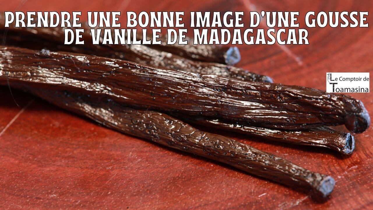 Comment photographier une gousse de vanille de Madagascar