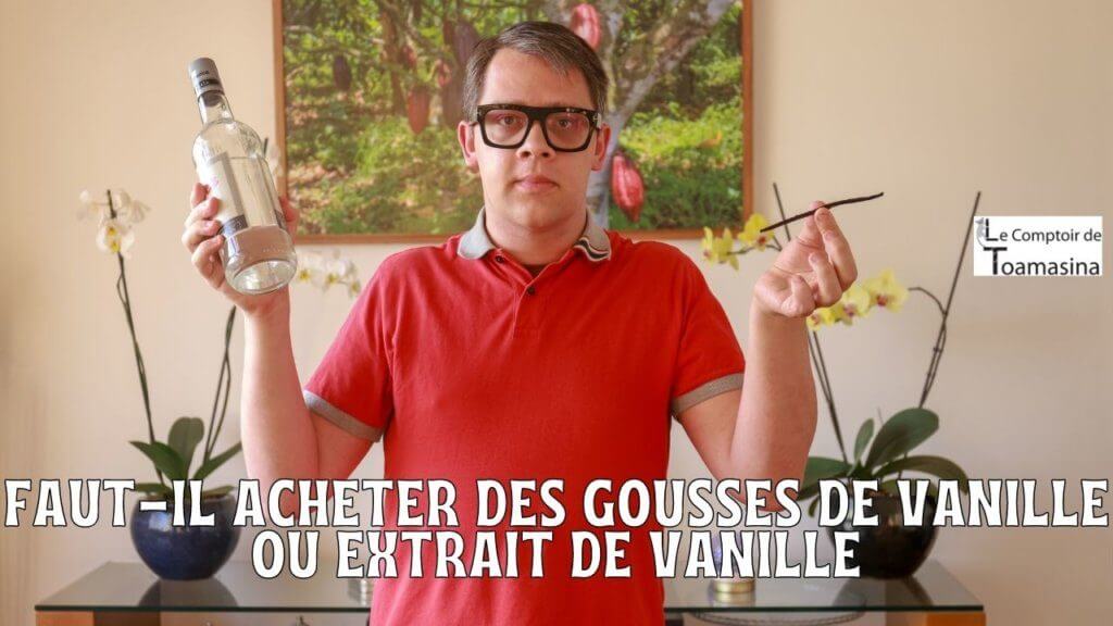 Gousses de vanille ou extrait de vanille