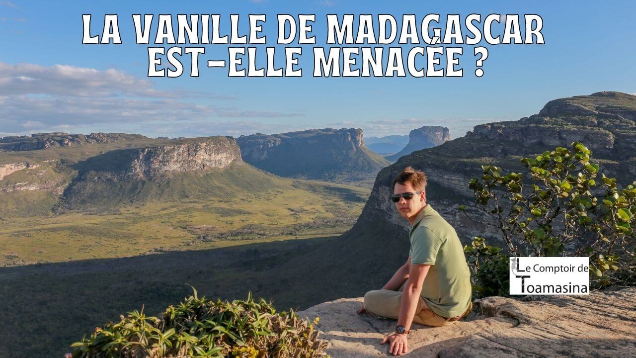 La vanille de Madagascar est-elle menacée