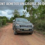 Où acheter du clou de girofle : mon évaluation