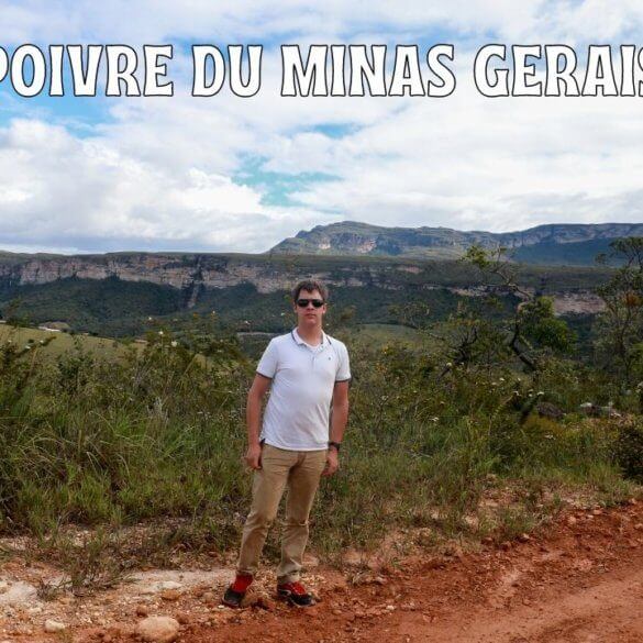 Poivre du Minas Gerais
