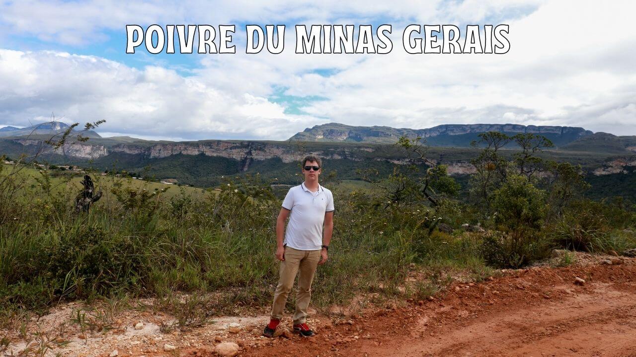 Poivre du Minas Gerais