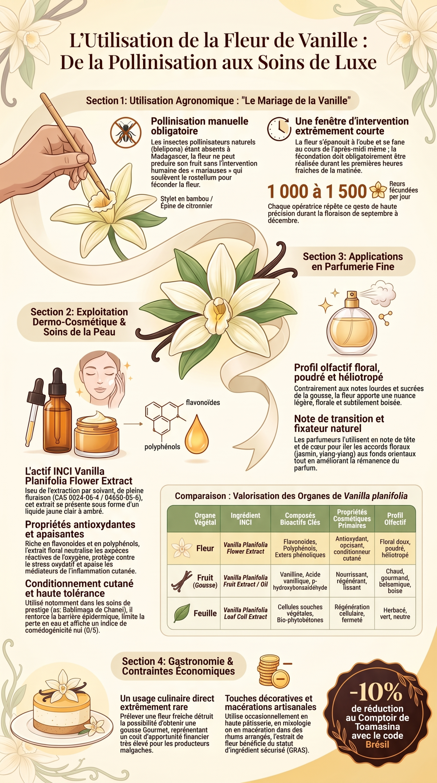Utilisation de la fleur de vanille