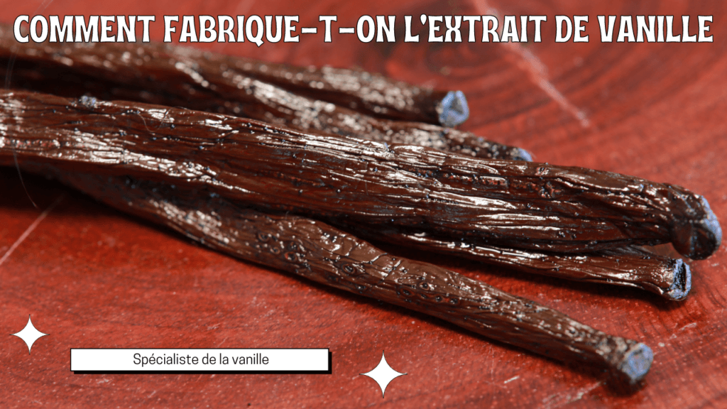 Comment fabrique-t-on l'extrait de vanille