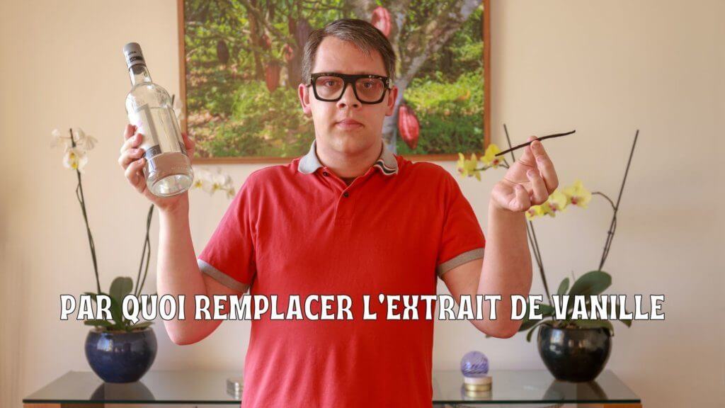 Extrait de vanille et gousses
