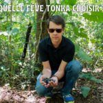 La fève tonka entière : mon évaluation