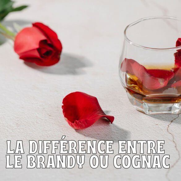 La différence entre le brandy ou cognac