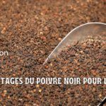 Le poivre noir et la santé : mon évaluation
