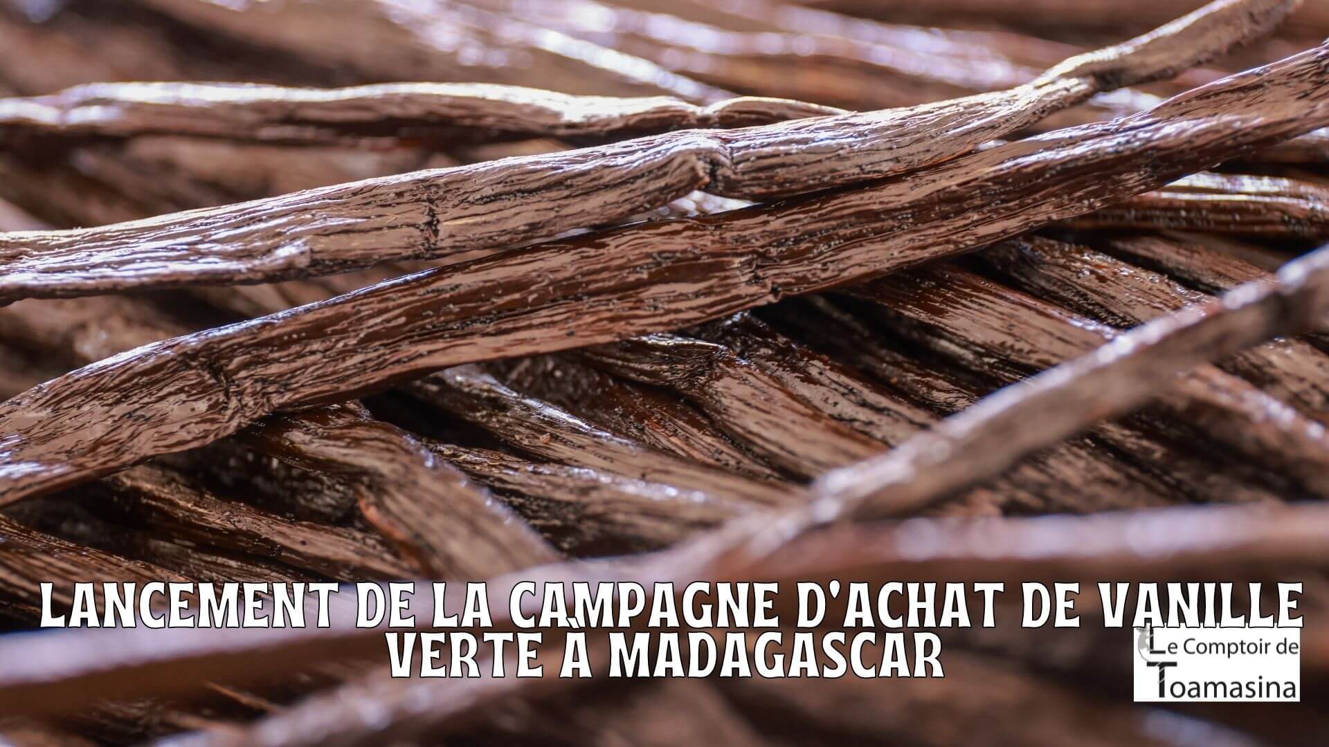 Madagascar Lancement de la campagne d'achat de vanille verte de la région SAVA