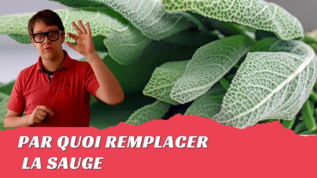 Par quoi peuton remplacer la sauge ? Astuce chef Arnaud Vanille