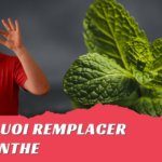 Le basilic comme substitut : mon évaluation