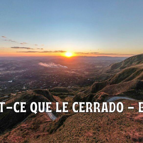 Qu'est-ce que le Cerrado - Brésil