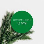Les méthodes de conservation du thym : mon évaluation