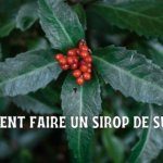 Le sirop de sureau : mon évaluation