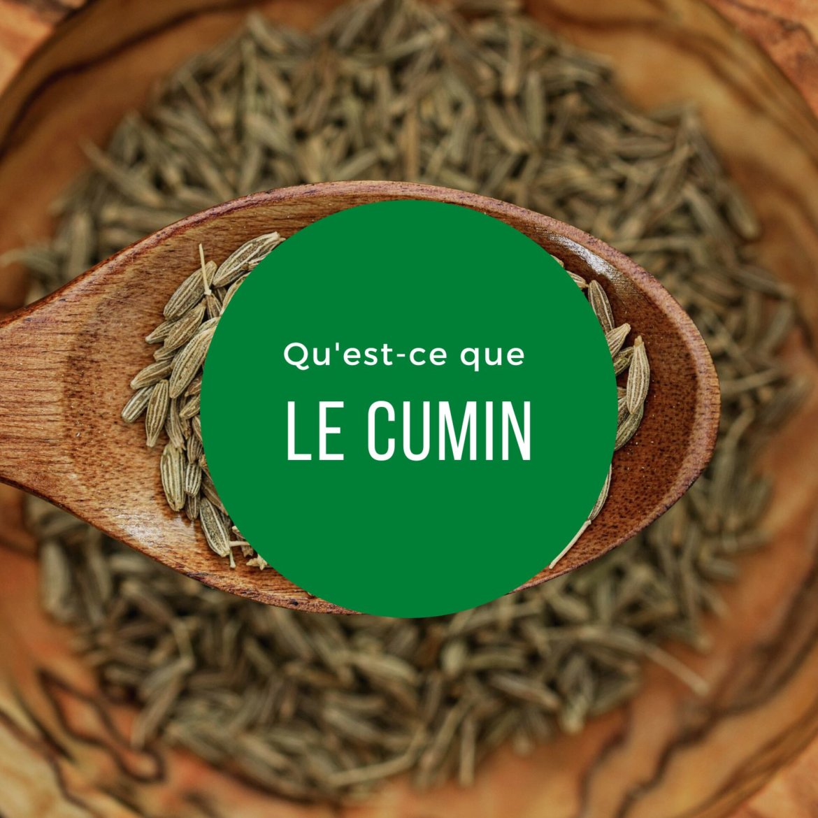 Qu'estce que le cumin ? Comptoir de Toamasina