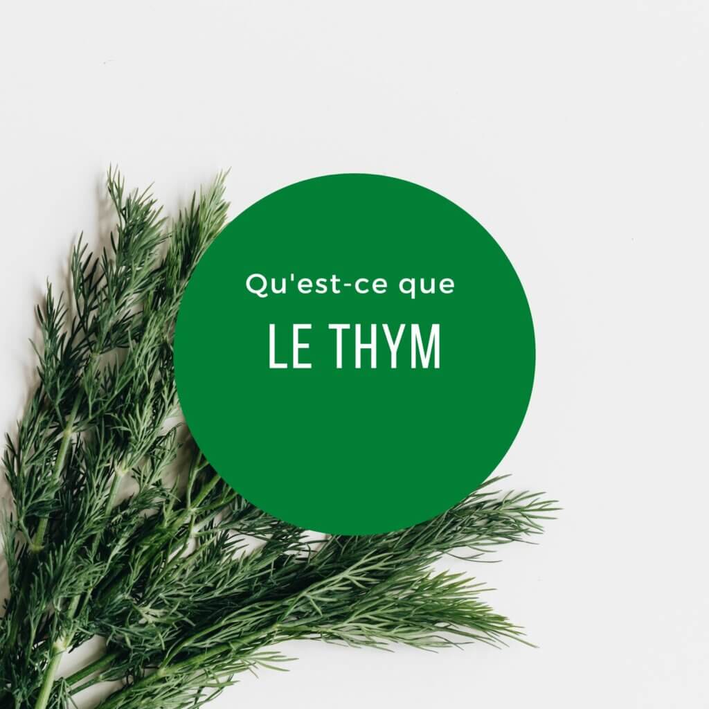 Qu'est-ce que le thym ? - Le Comptoir de Toamasina