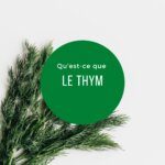 Le thym en cuisine : mon évaluation