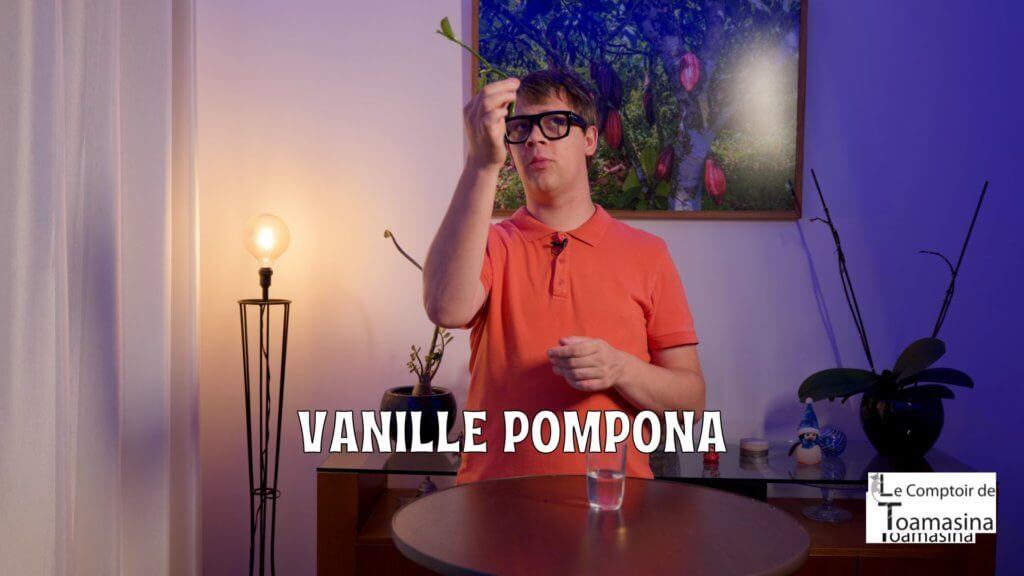 Vanille Pompona