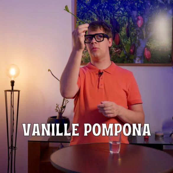 Vanille Pompona