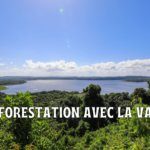 La vanille comme outil de reforestation : mon évaluation