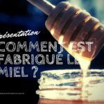 Le miel en cuisine : mon évaluation