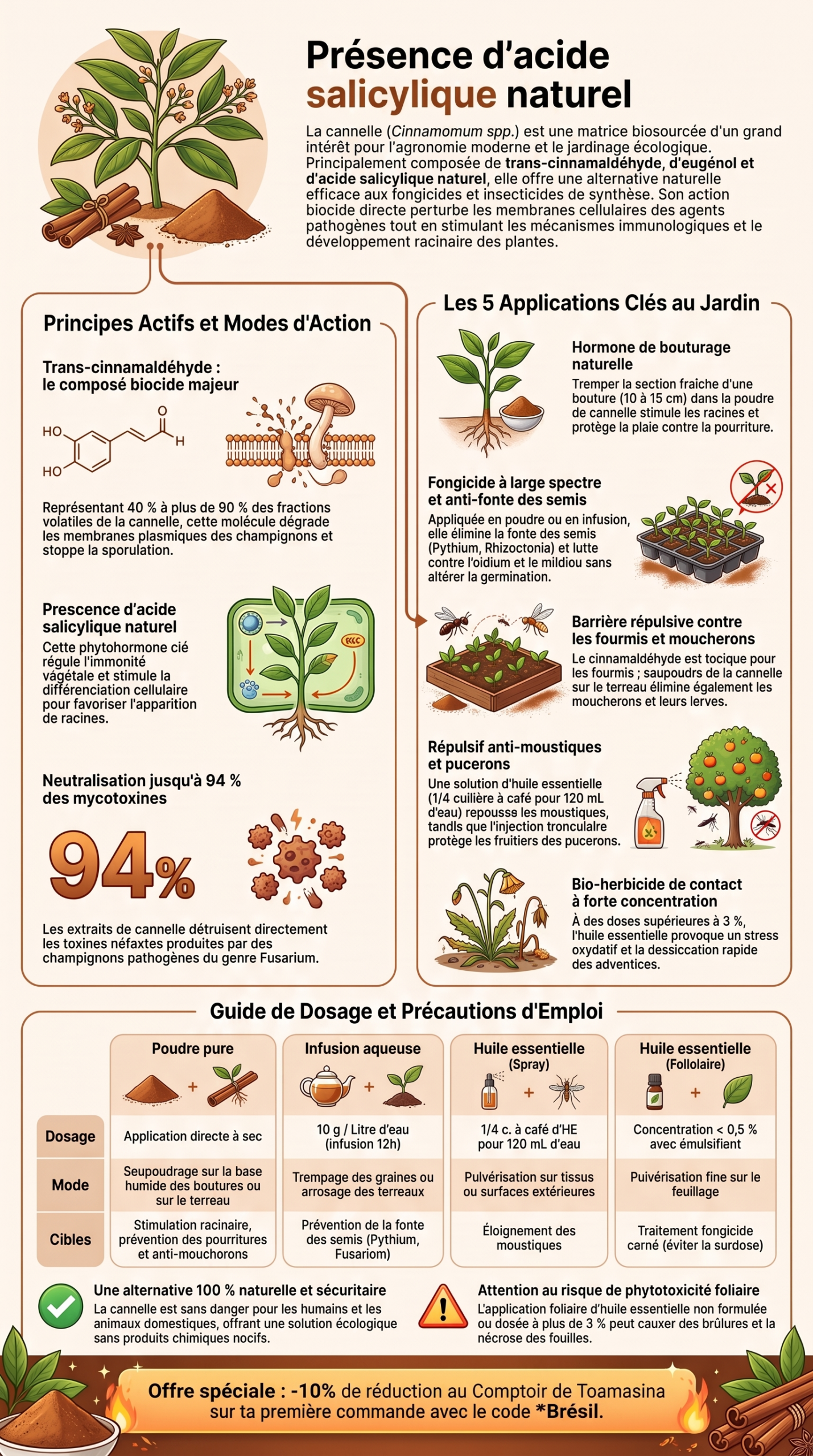 La cannelle en jardinage écologique, infographie