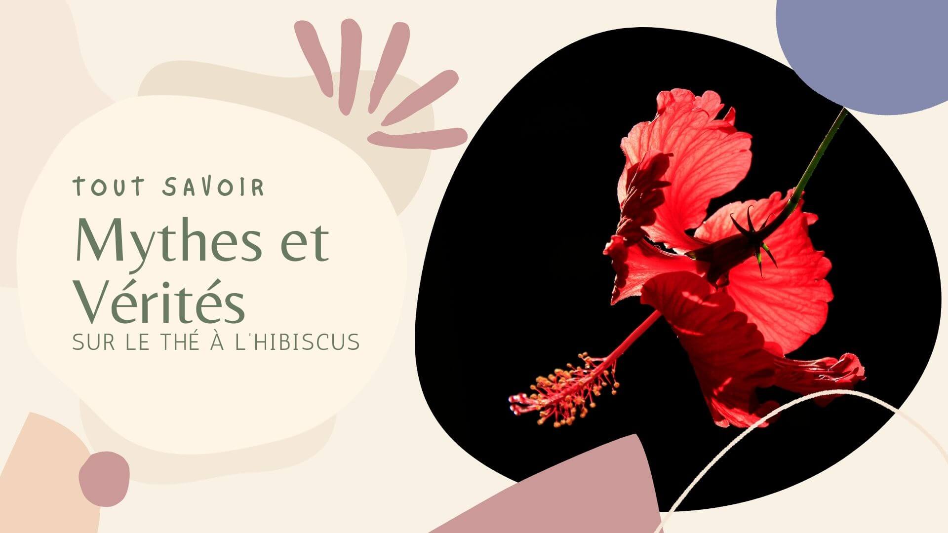 Mythes et vérités sur le thé à l’hibiscus
