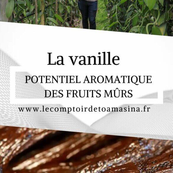Potentiel aromatique des fruits mûrs de Vanilla planifolia