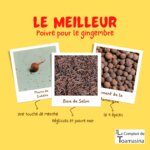Le poivre noir de Kampot avec le gingembre : mon évaluation