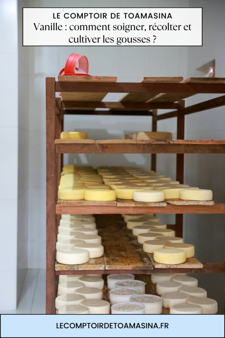 Saveurs du Minas