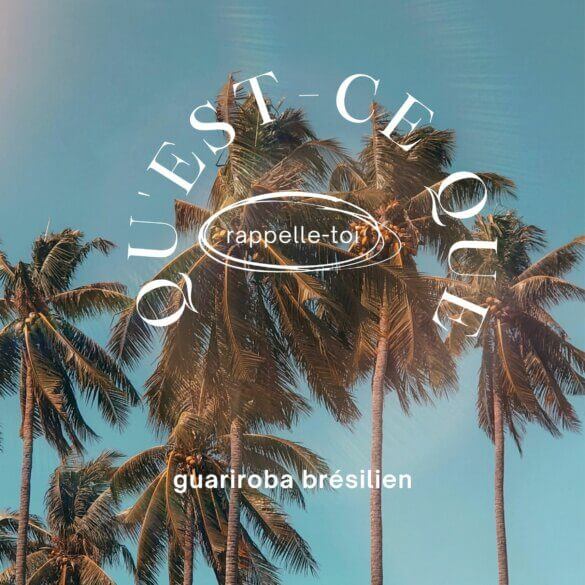 Qu'est-ce que le guariroba