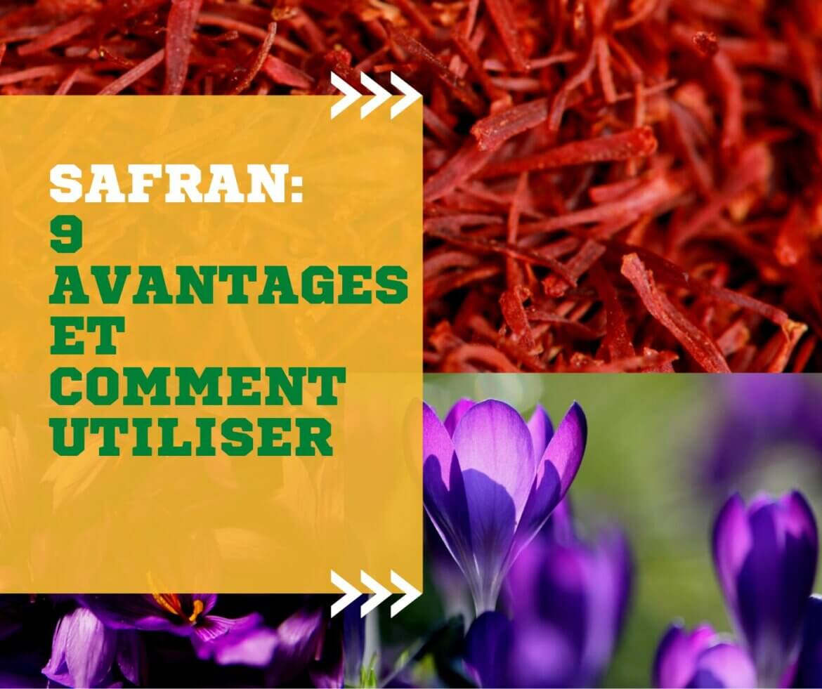 Safran Avantages Et Comment Utiliser Par Chef Arnaud