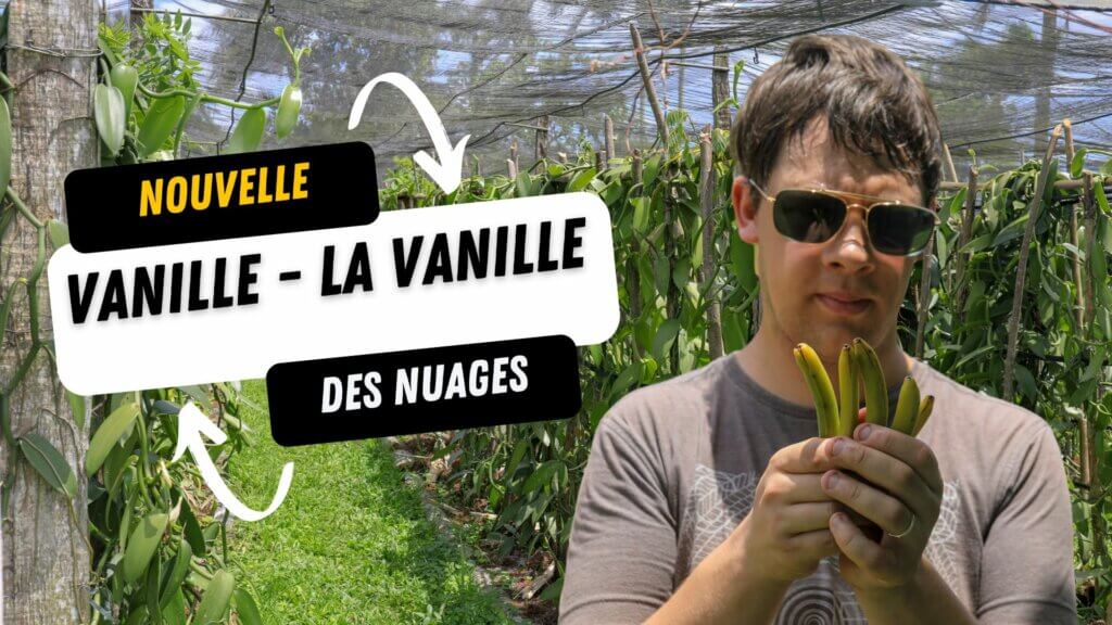 Une nouvelle vanille vient d&amp;#39;être découverte - Arnaud Vanille