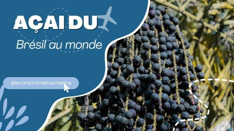 L’économie brésilienne
