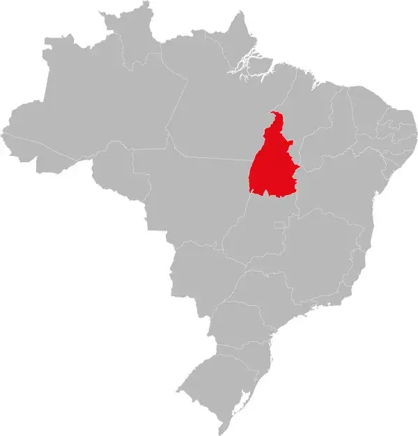 état du Tocantins au Brésil