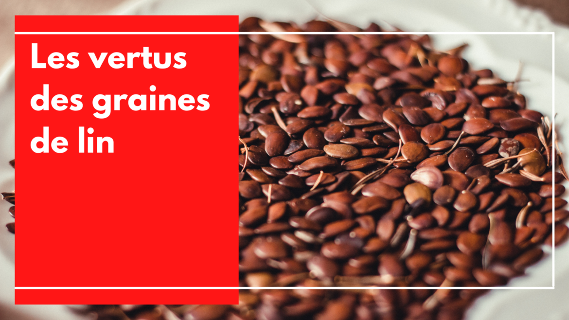 Les vertus des graines de lin Le Comptoir de Toamasina