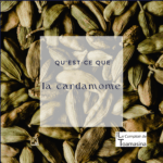 La cardamome verte : mon évaluation