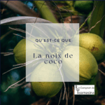 La noix de coco en cuisine : mon évaluation
