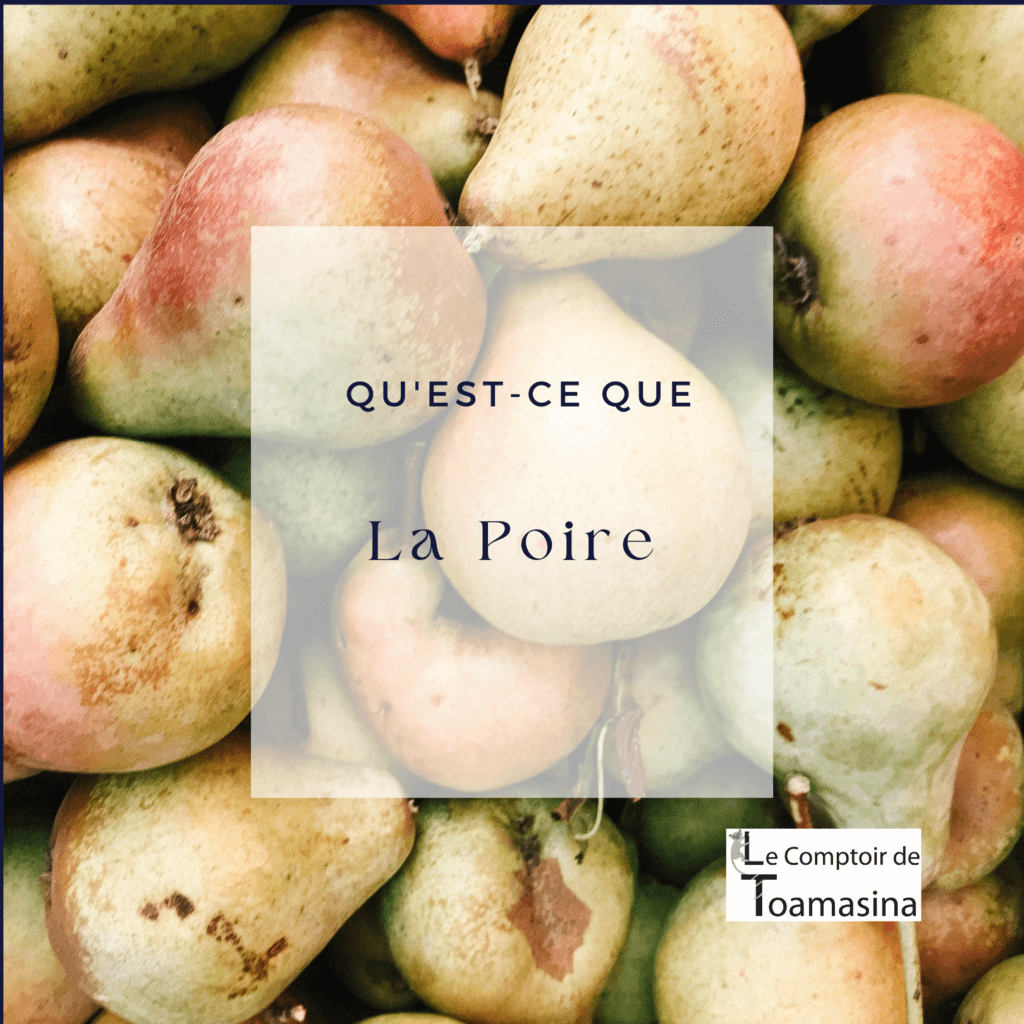 Qu'est-ce que la poire ? - Le Comptoir de Toamasina