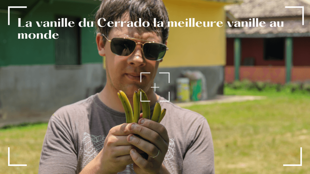 Vanille du Cerrado, Brésil