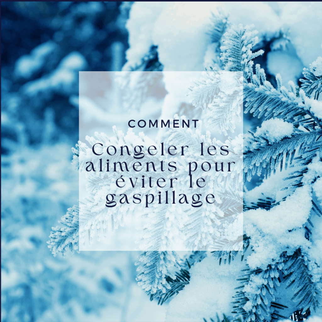 Comment congeler les aliments pour éviter le gaspillage Chef