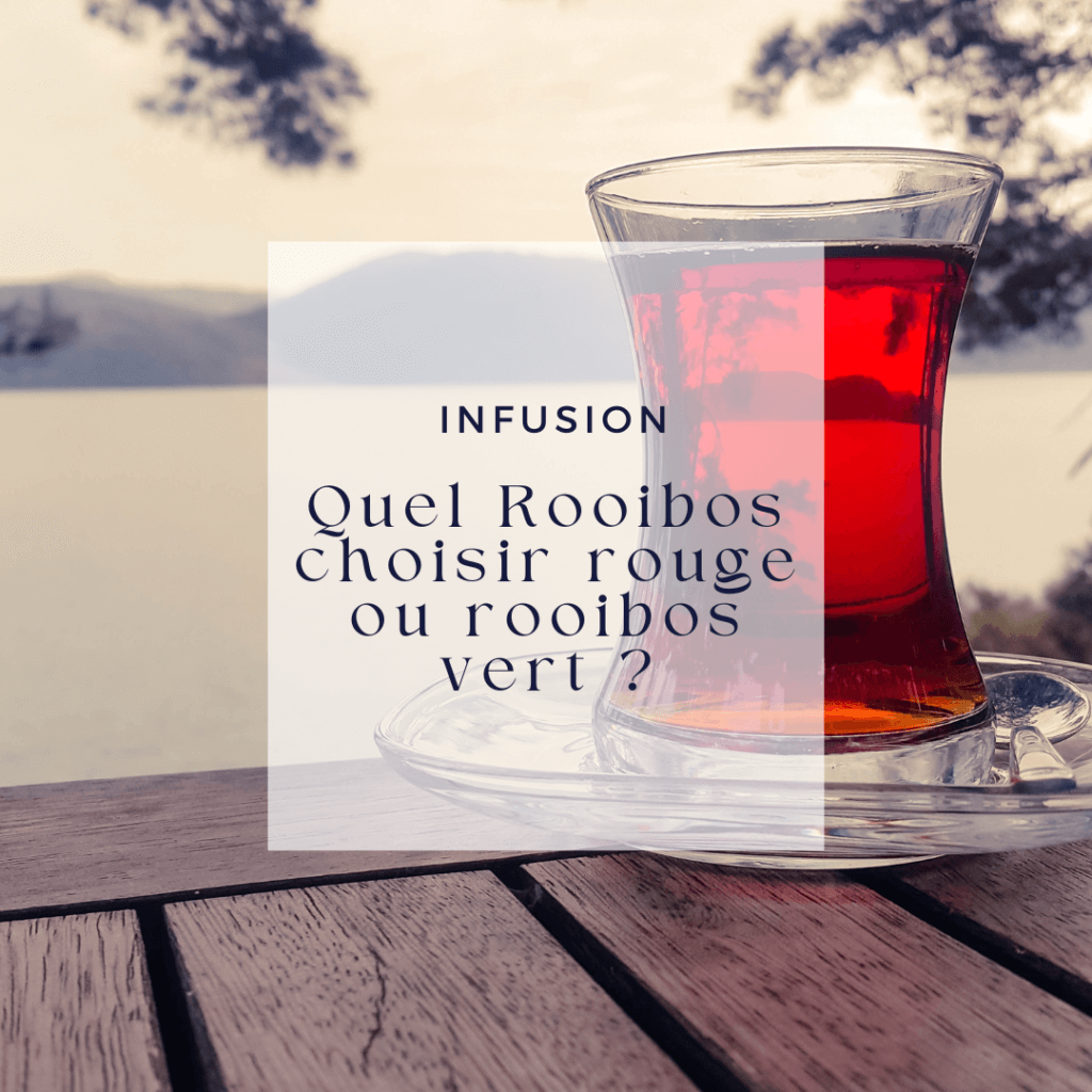 Rooibos rouge ou rooibos vert : même arbuste, deux traitements. Le rouge, oxydé, est le plus doux et le plus gourmand.