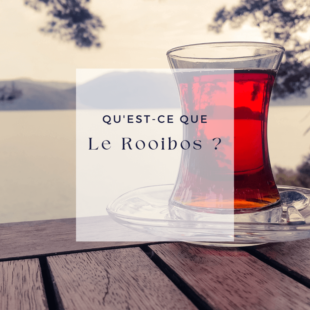 Le rooibos, un arbuste sud-africain de la famille des fabacées : ni thé, ni herbe fade quand il est bien sélectionné.