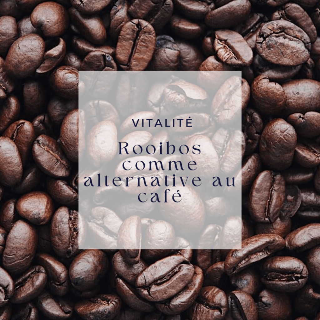Sans caféine et naturellement doux, le rooibos est une belle alternative au café en fin de journée.