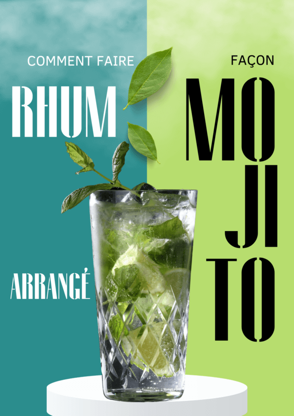 Comment faire un rhum arrangé mojito? Chef Arnaud Apogée Bar