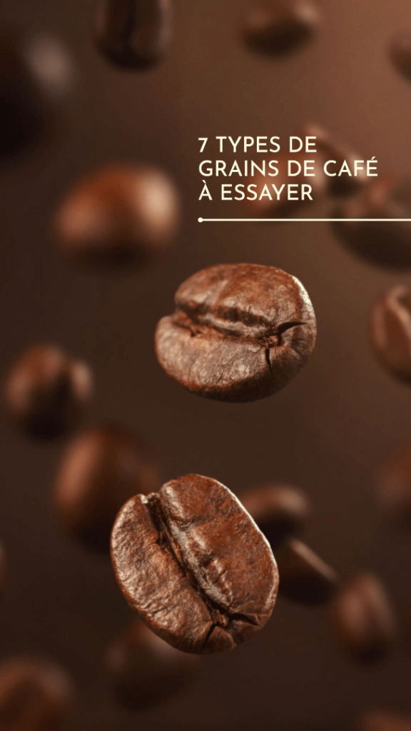 Découvrez les 7 types de grains de café à essayer