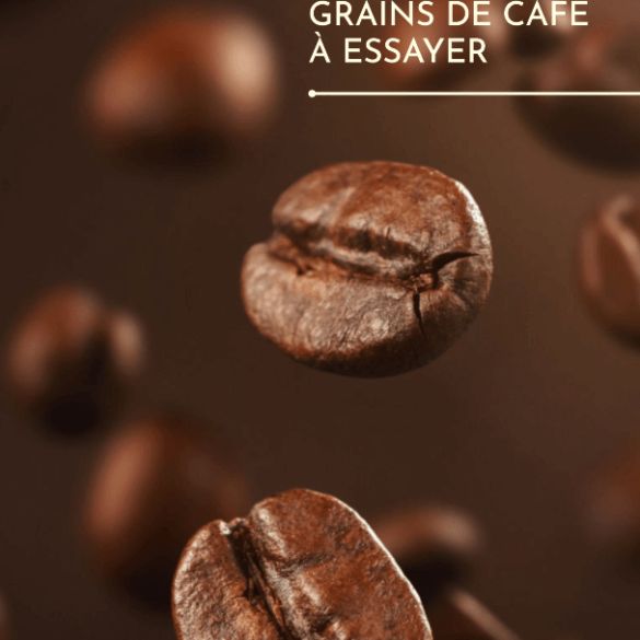Découvrez les 7 types de grains de café à essayer