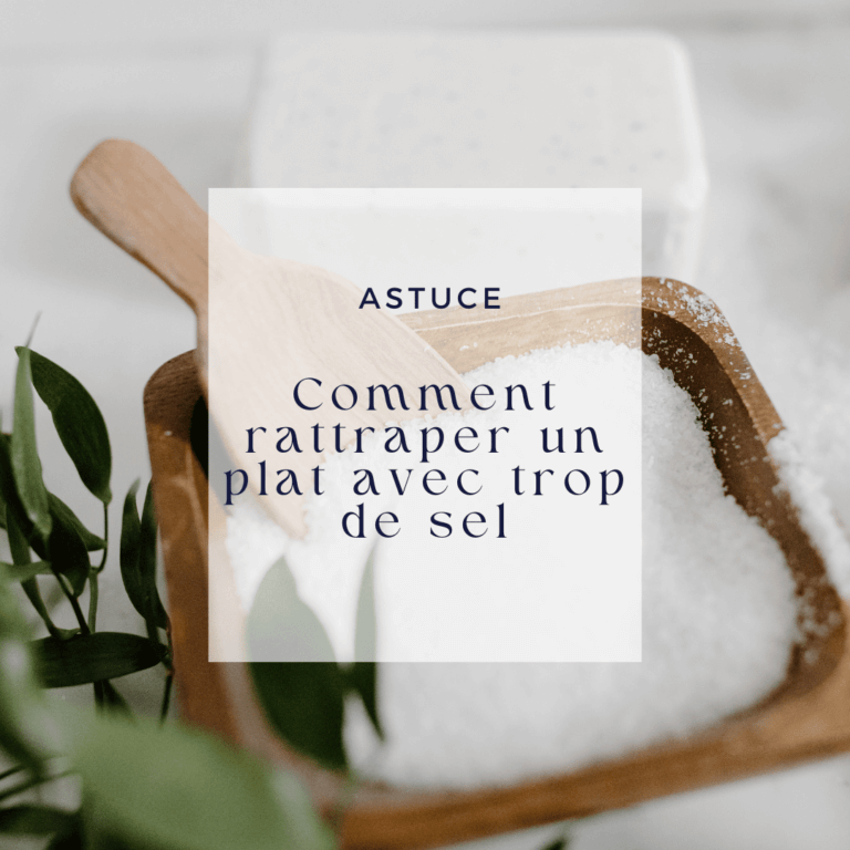 Comment rattraper un plat avec trop de sel Le Comptoir de Toamasina