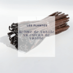Quelle vanille pour quel usage ?